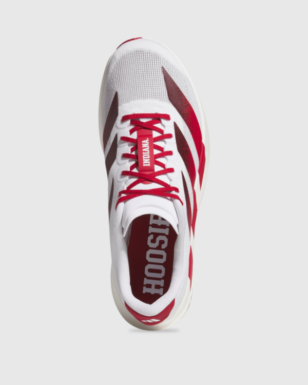 Adidas Adizero Evo SL Indiana